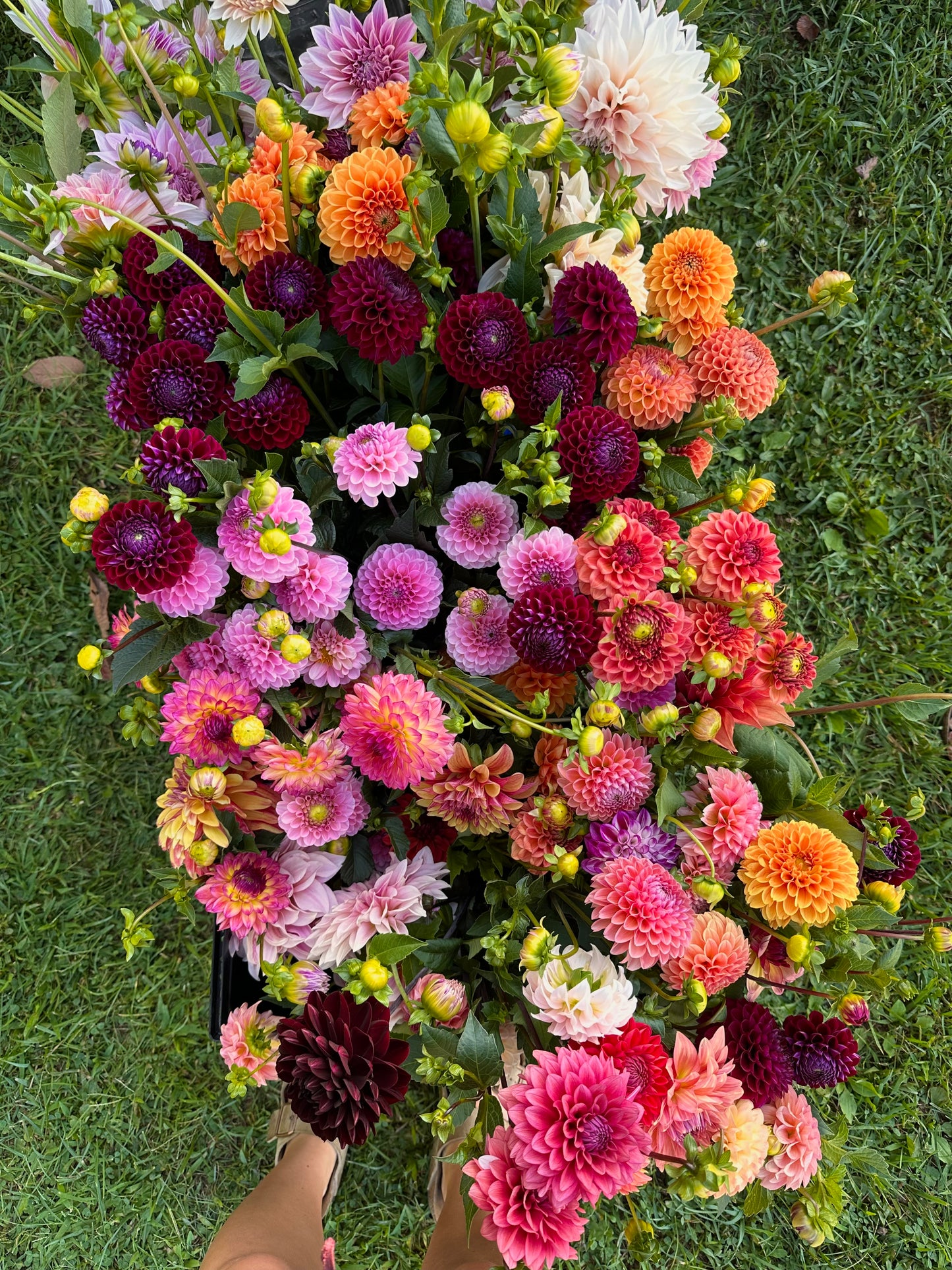 2025 Fall Bouquet Subscription