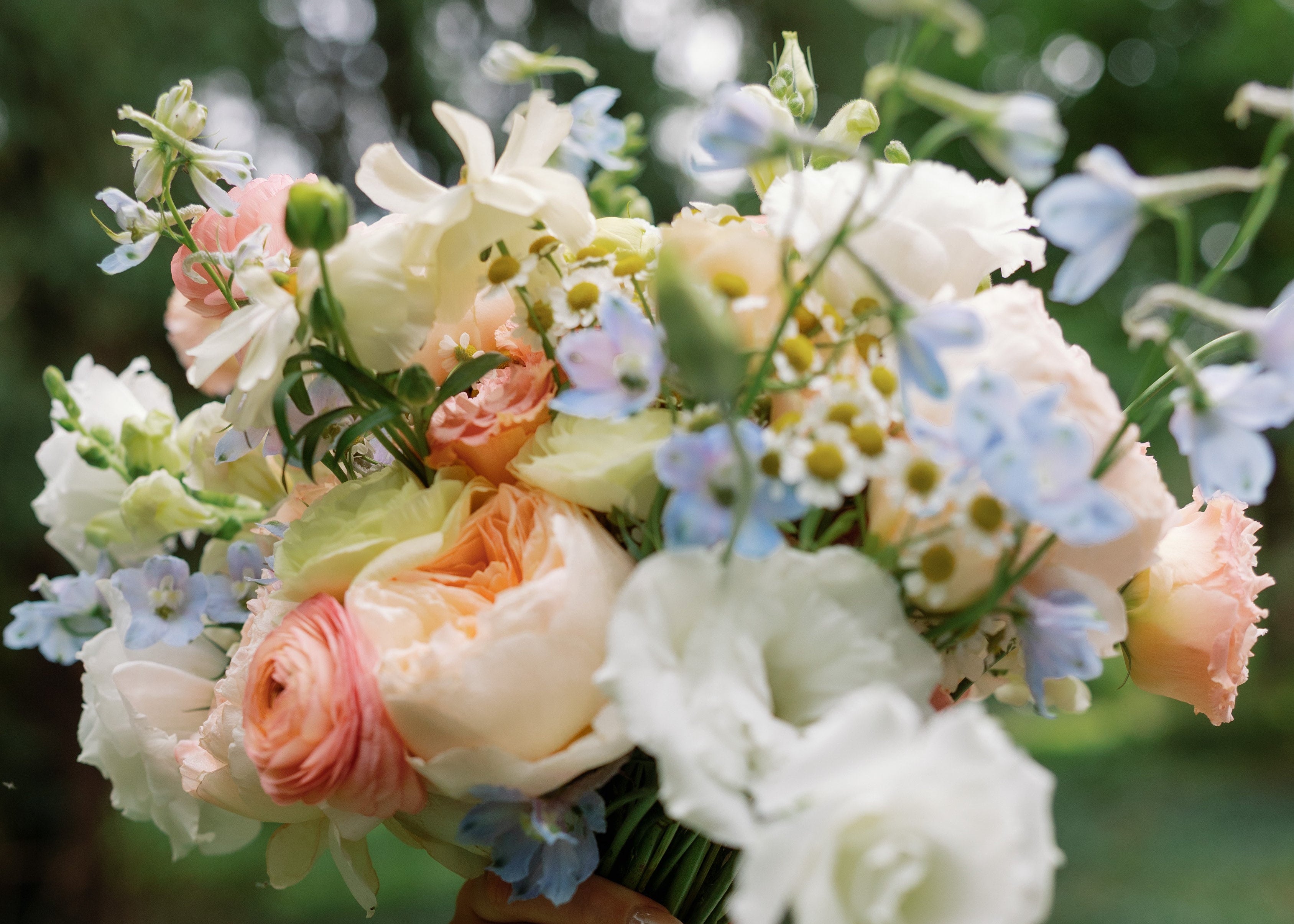 Bouquet of flowers held by a hand with decorative ribbons against a blurred green background