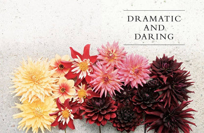 Dahlias; Beautiful Varieties for Home & Garden (hardcover)