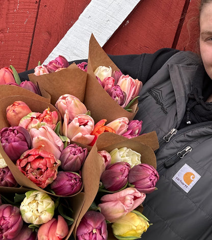 2025 Tulip Subscription