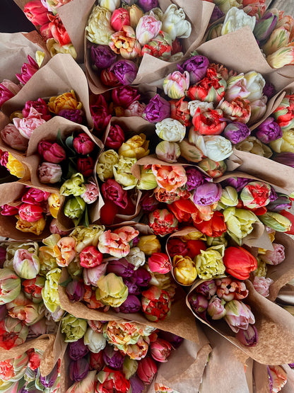 2025 Tulip Subscription