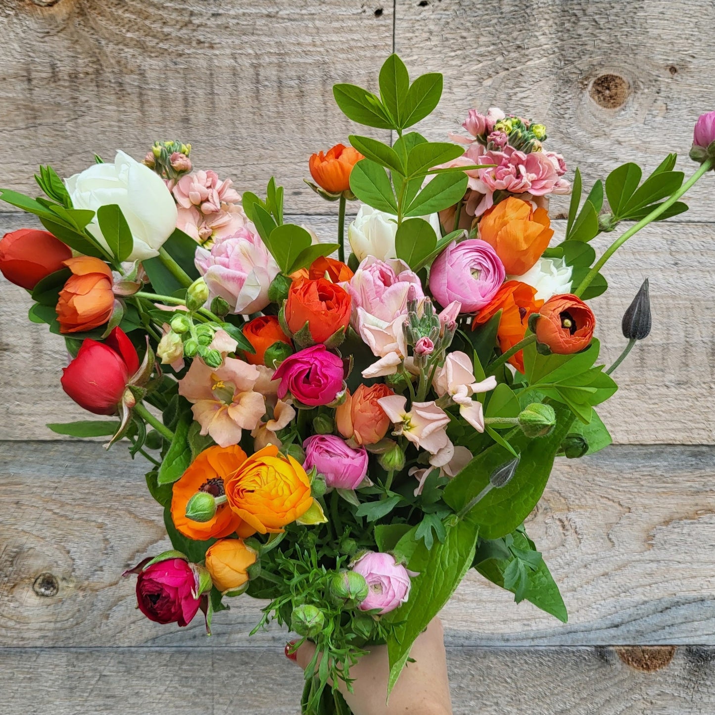 "Spring Has Sprung" 4-Bouquet Subscription