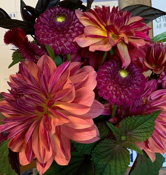"Fall into Fall" 4-Bouquet Subscription