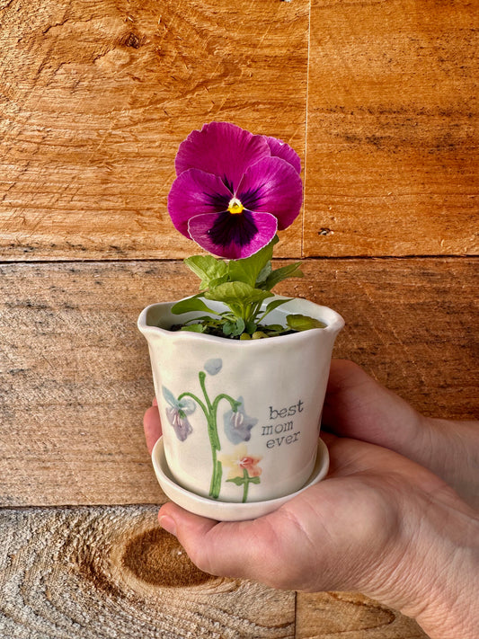 Best Mom Ever Potted Flower